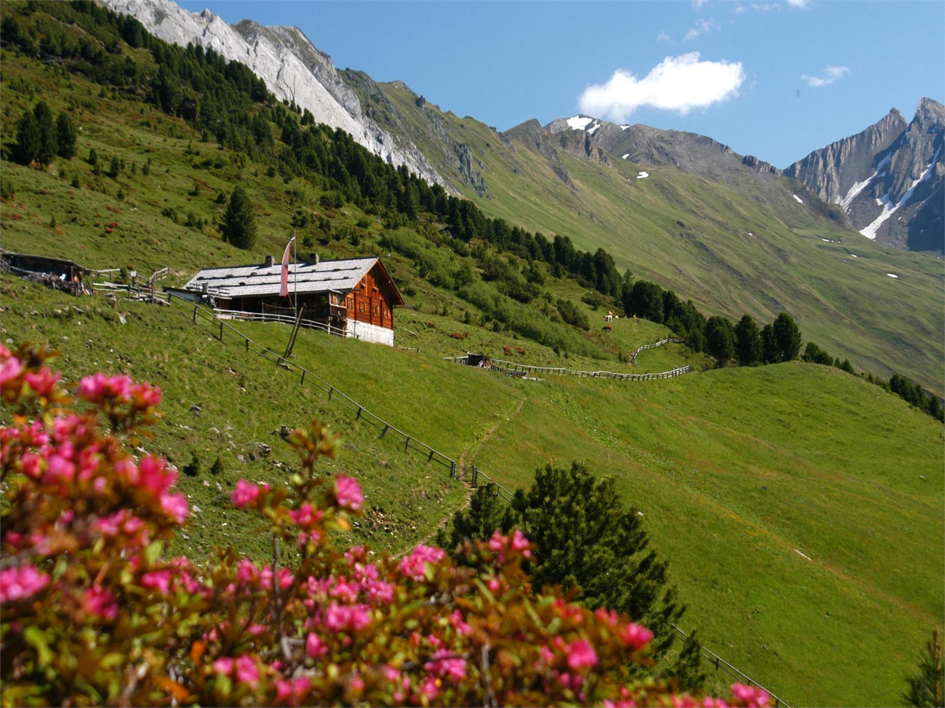 Jausenstation Durra Alm Sand in Taufers 1 suedtirol.info