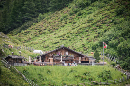 Jausenstation Knuttenalm Sand in Taufers 4 suedtirol.info