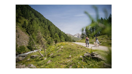 Jausenstation Knuttenalm Sand in Taufers 6 suedtirol.info