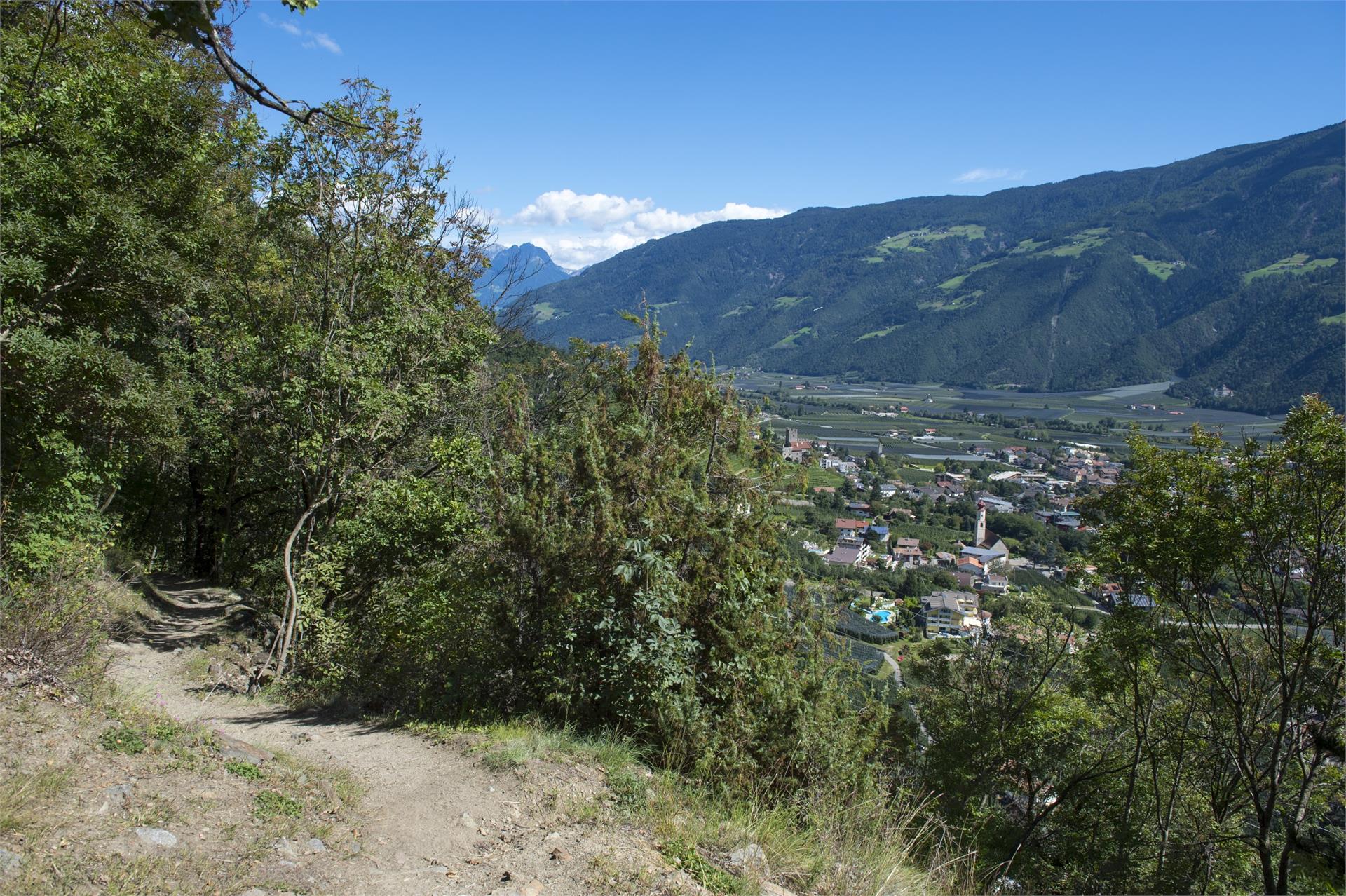 Ristoro Schwalbennest Naturns/Naturno 2 suedtirol.info