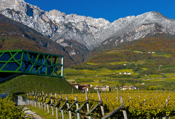 Cantina Tramin Tramin an der Weinstraße/Termeno sulla Strada del Vino 1 suedtirol.info