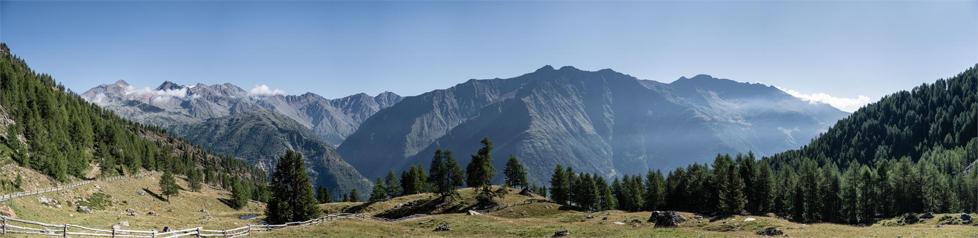 Malga del Convento Senales 13 suedtirol.info