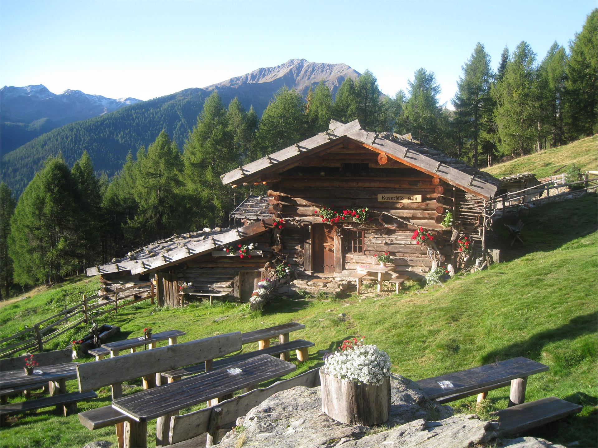 Kaserfeld Alm Ulten 1 suedtirol.info