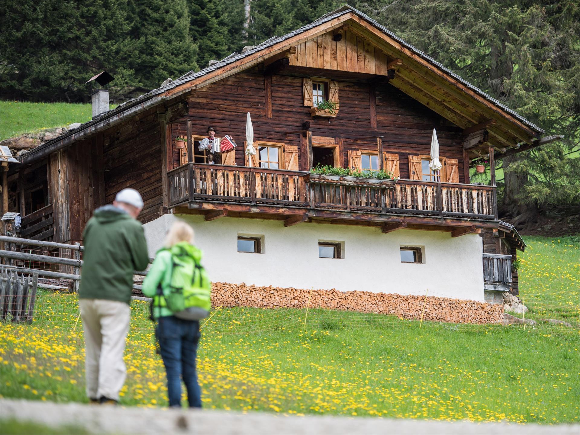 Kradorfer Alm 1704 m Gsies/Valle di Casies 2 suedtirol.info