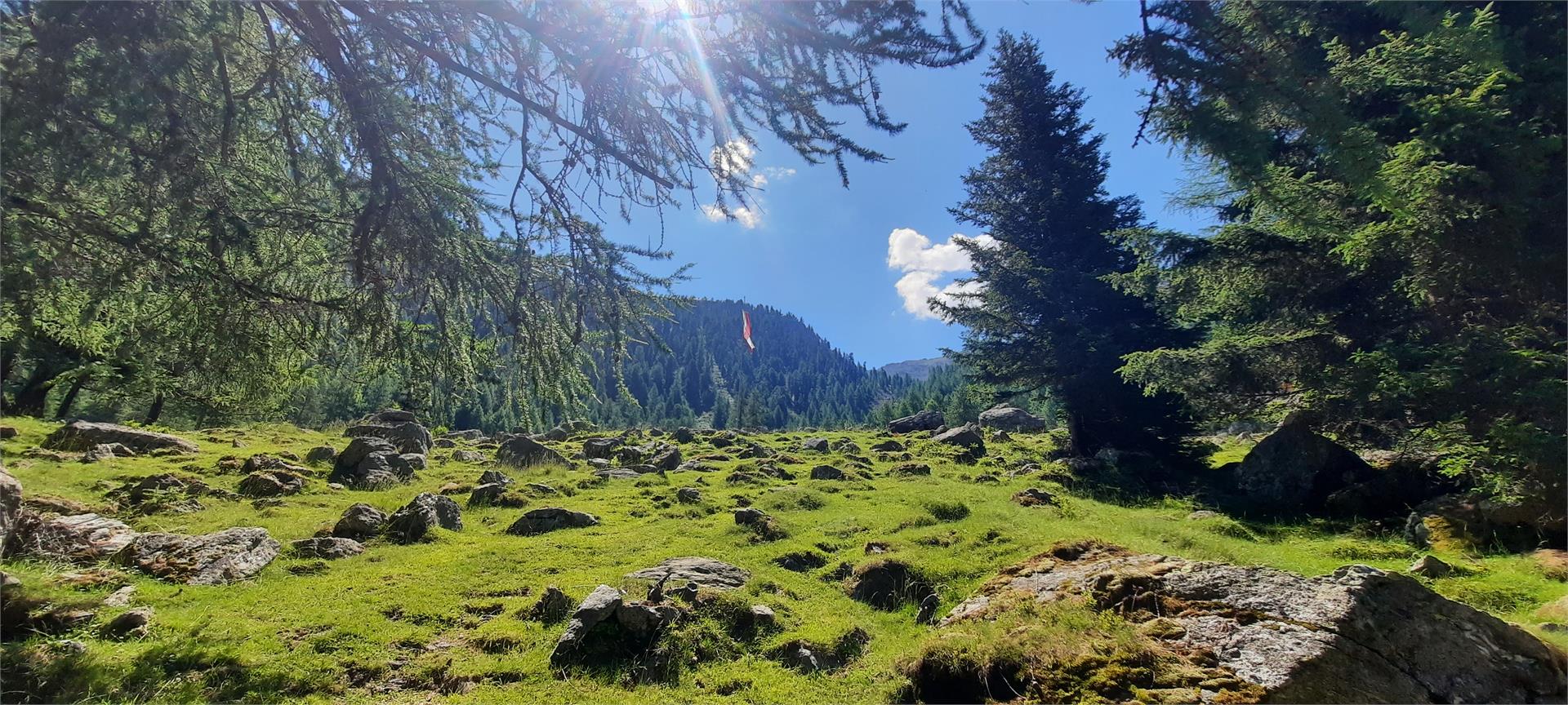 Latschinger Alm Kastelbell-Tschars 8 suedtirol.info