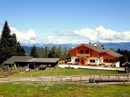 Laab Alm Deutschnofen 2 suedtirol.info