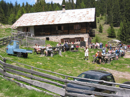 Maiser Alm Alp inn Hafling/Avelengo 1 suedtirol.info