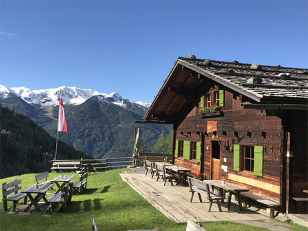 Niederhofer Alm Ahrntal 3 suedtirol.info