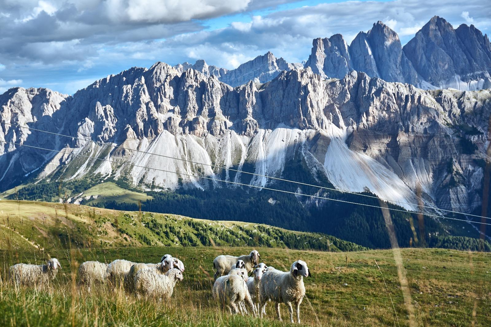 Pfannspitzhütte Brixen 7 suedtirol.info