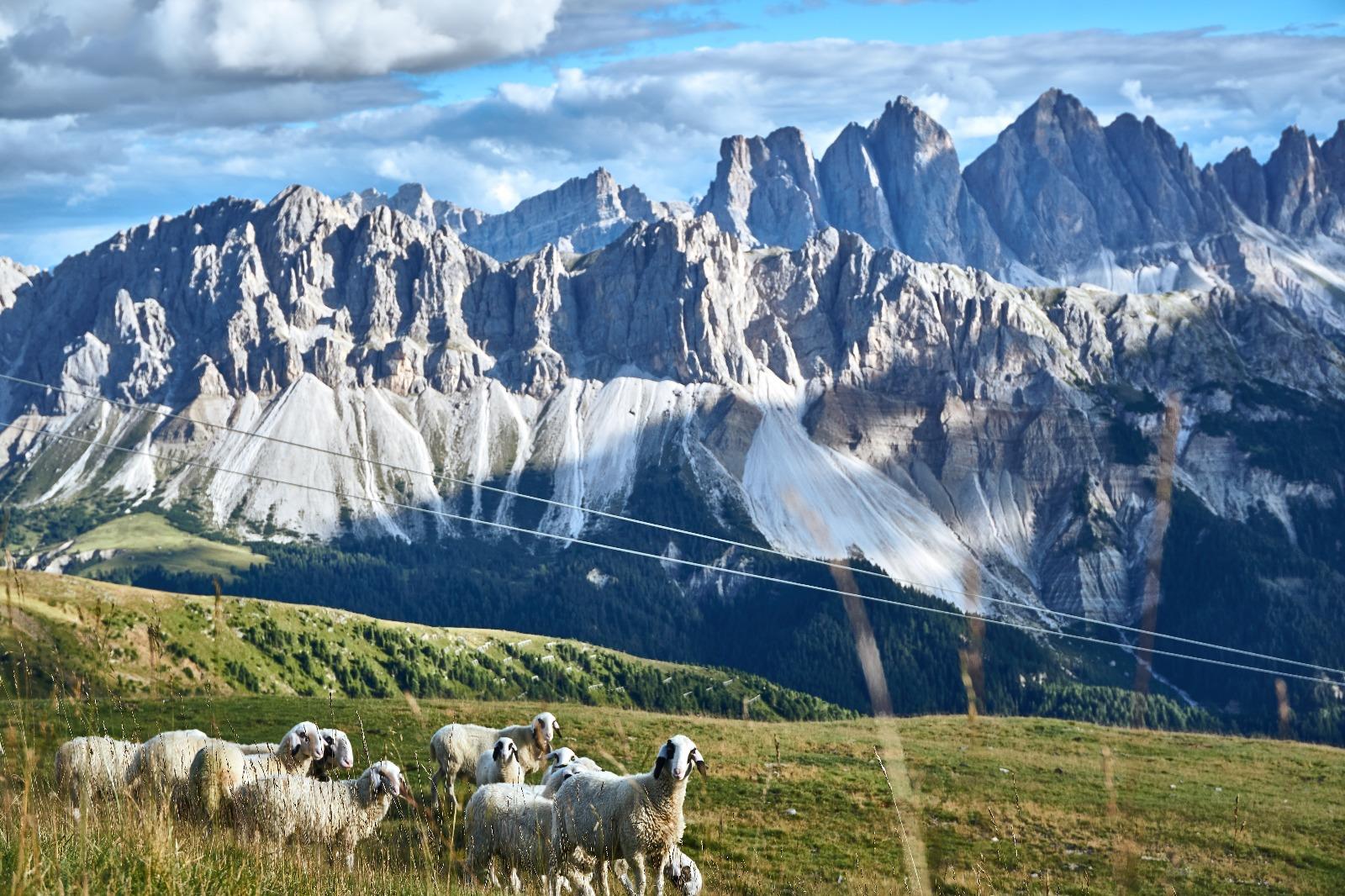 Pfannspitzhütte Brixen 12 suedtirol.info