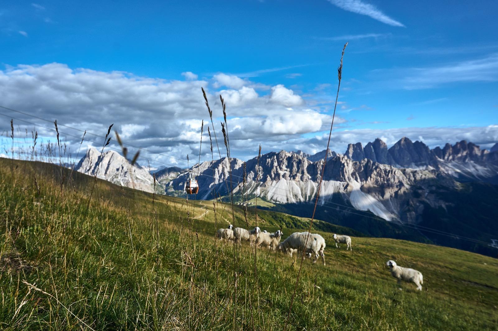 Pfannspitzhütte Brixen 9 suedtirol.info