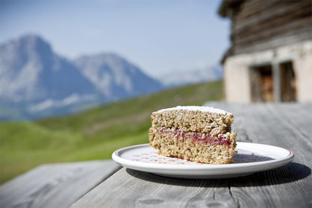 Pieralongia Hut S.Crestina Gherdëina/Santa Cristina Val Gardana 4 suedtirol.info