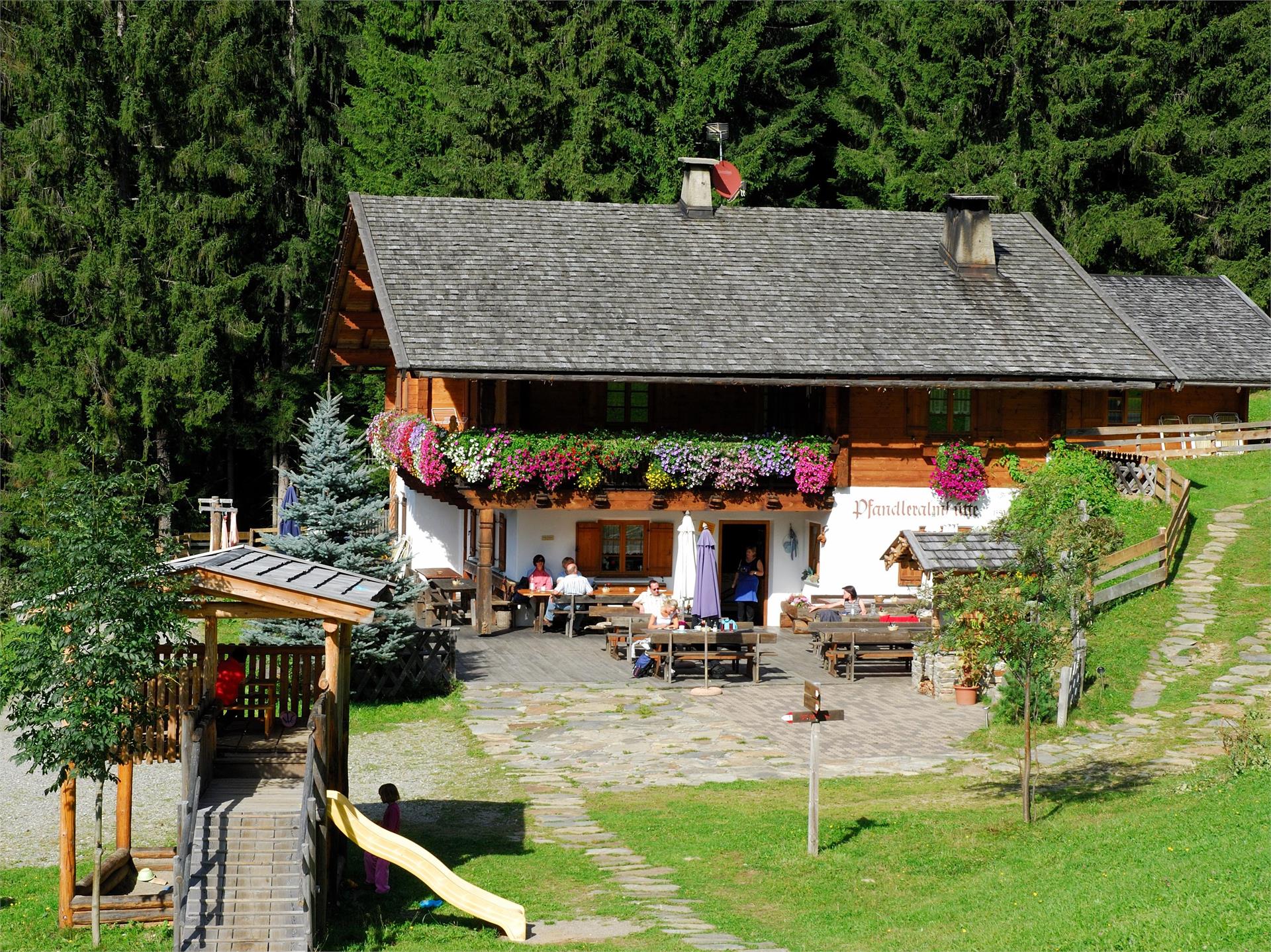 Pfandler Alm St.Leonhard in Passeier 1 suedtirol.info