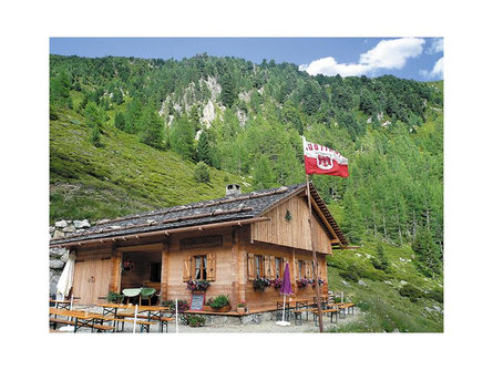 Malga Plata Falzes 1 suedtirol.info