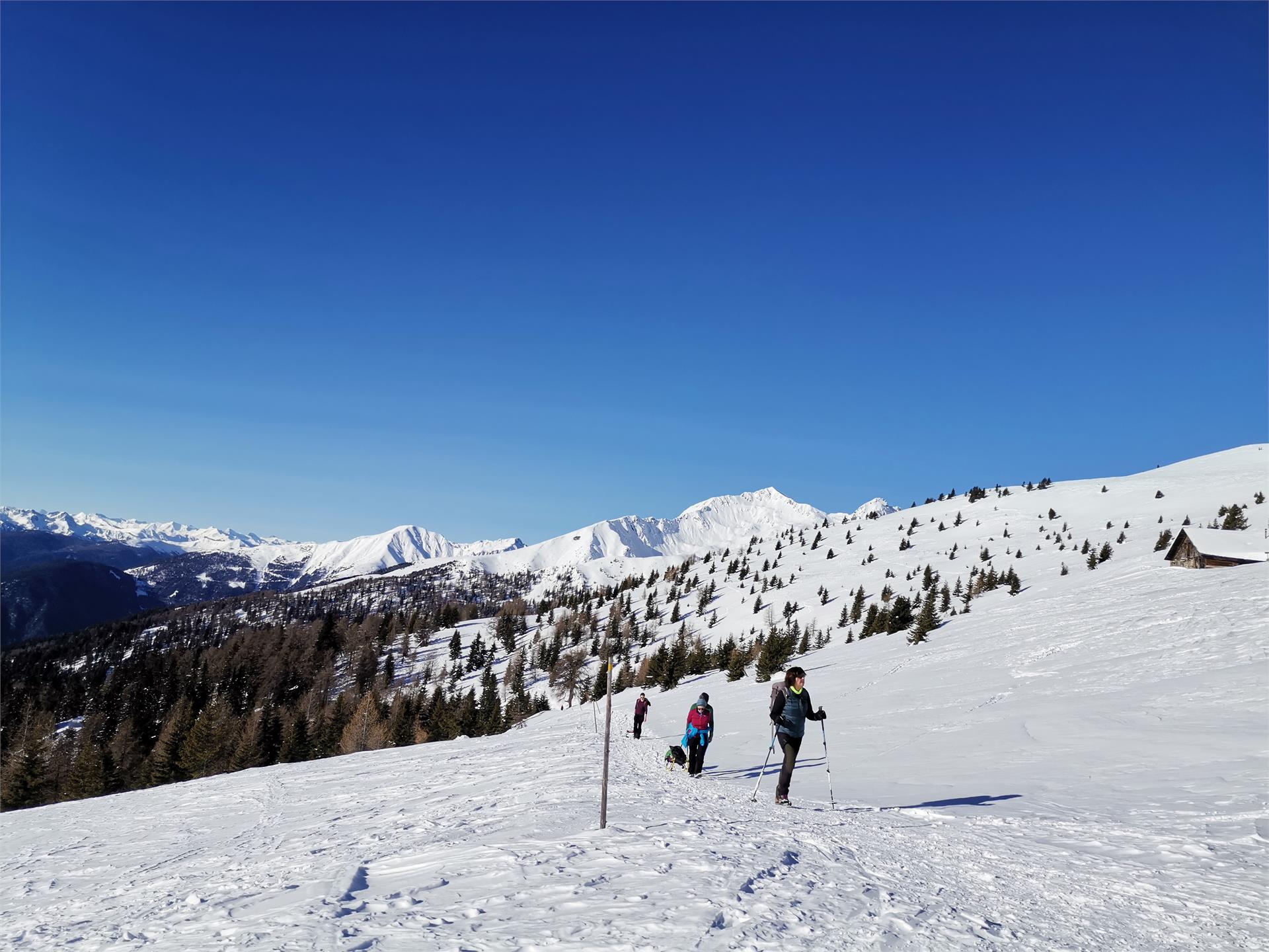 Pertinger Alm Terento 10 suedtirol.info