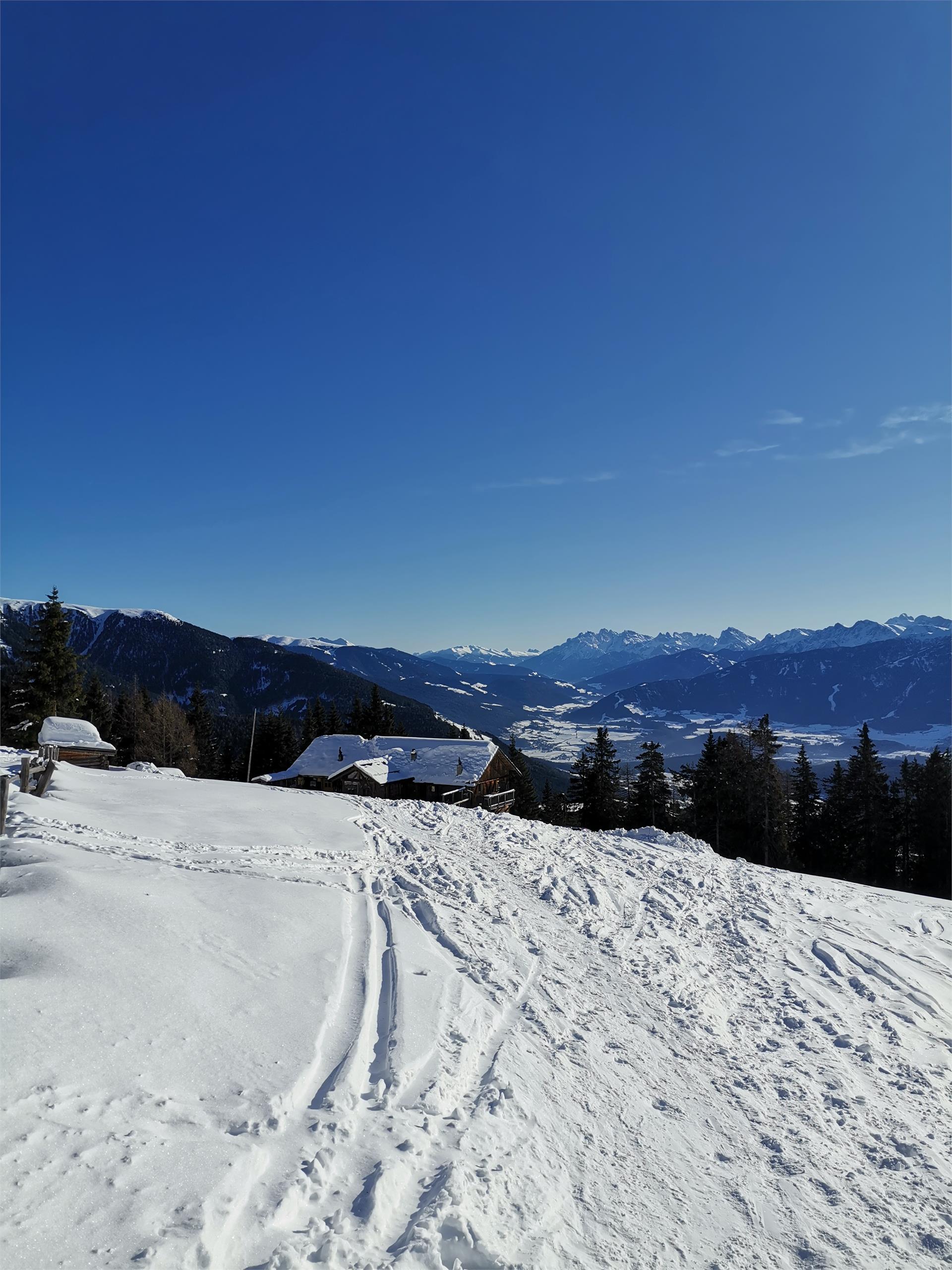 Pertinger Alm Terento 8 suedtirol.info