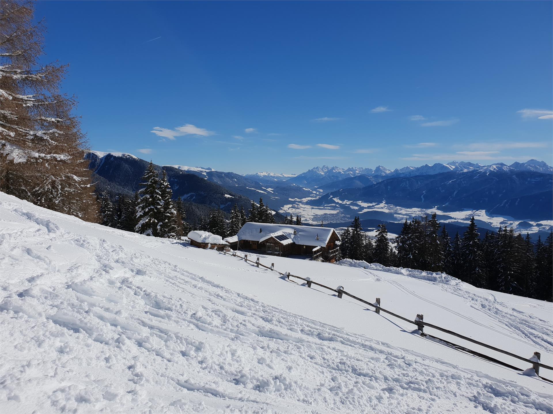 Pertinger Alm Terento 2 suedtirol.info