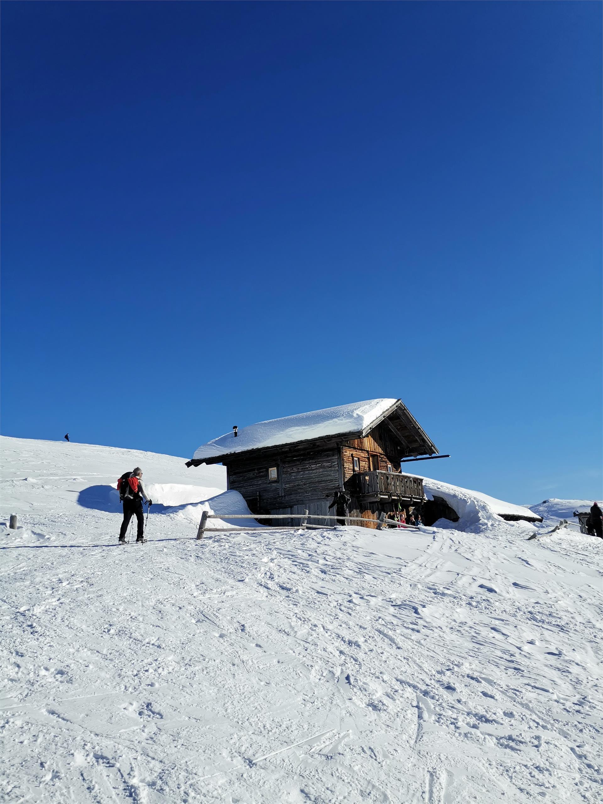 Pertinger Alm Terento 9 suedtirol.info