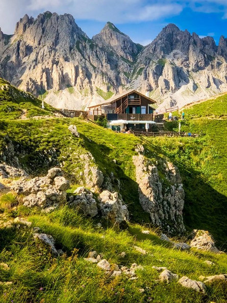 Pederiva Hütte Welschnofen 1 suedtirol.info