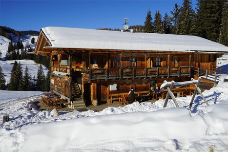 Malga Radauer Castelrotto 9 suedtirol.info