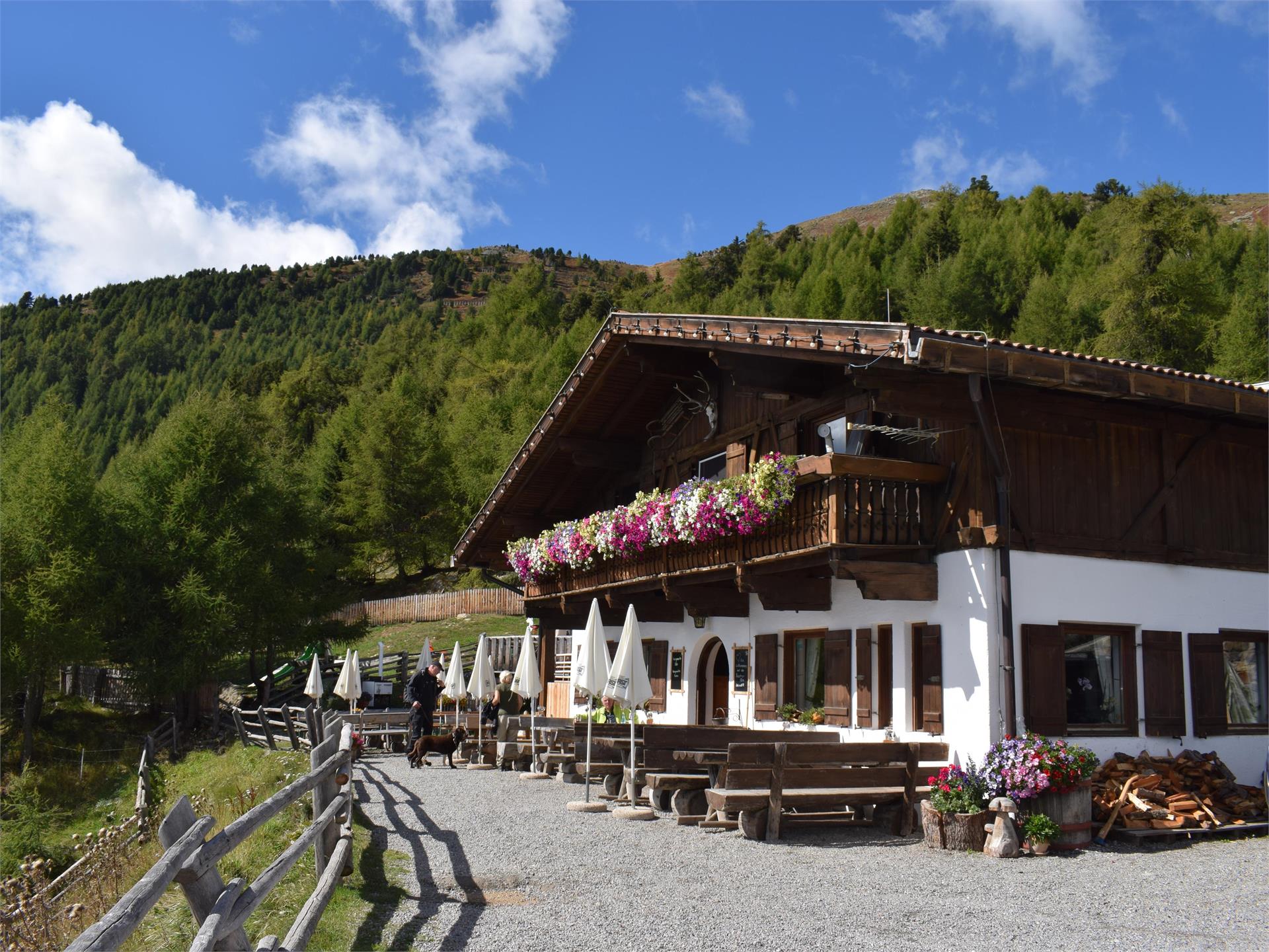 Rescher Alm Graun im Vinschgau 1 suedtirol.info