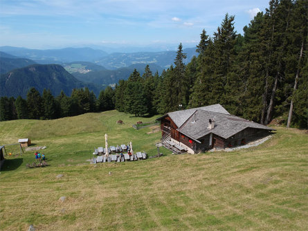 Ramitzler Schwaige Lajen 4 suedtirol.info