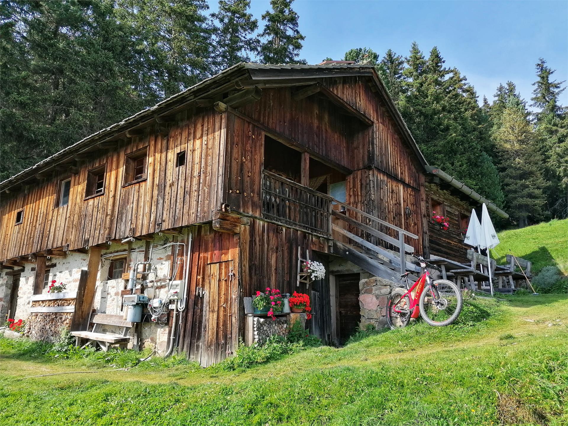 Malga Ramitzler Lajen/Laion 1 suedtirol.info