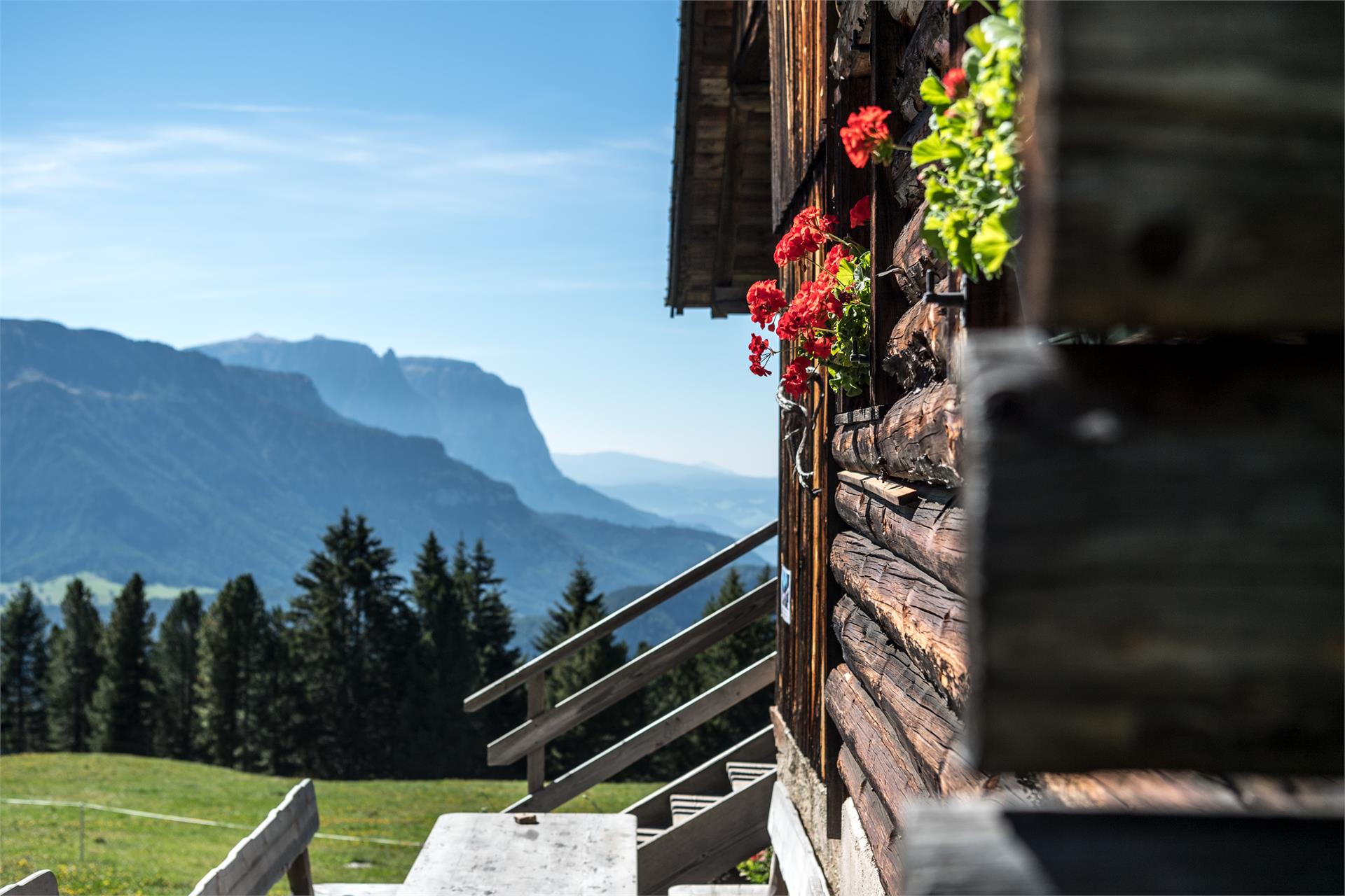 Malga Ramitzler Lajen/Laion 2 suedtirol.info