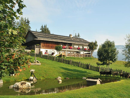 Ristorante Walde Alm Monguelfo-Tesido 1 suedtirol.info