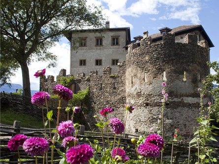 Ristorante Castel Flavon Bolzano 1 suedtirol.info