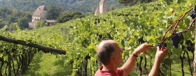 Castle Englar Eppan an der Weinstaße/Appiano sulla Strada del Vino 1 suedtirol.info