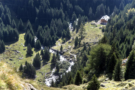 Nasereit Mountain Hut Partschins/Parcines 8 suedtirol.info