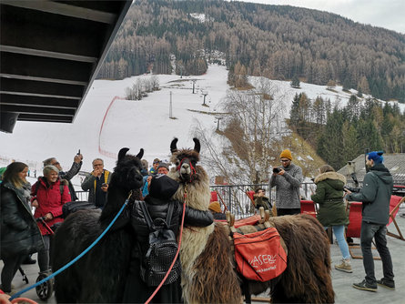 STOCHAS Restaurant Bar Ahrntal/Valle Aurina 14 suedtirol.info