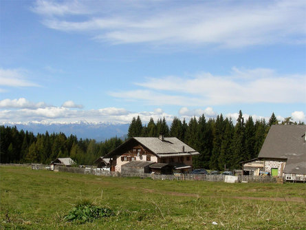 Schönrastalm Aldein 2 suedtirol.info