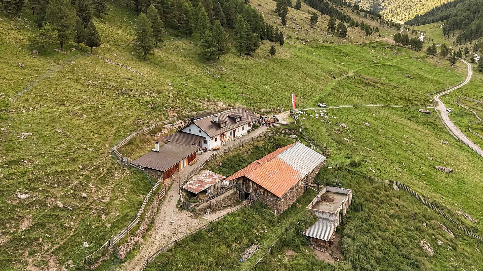 Schlanderser Alm Schlanders 5 suedtirol.info