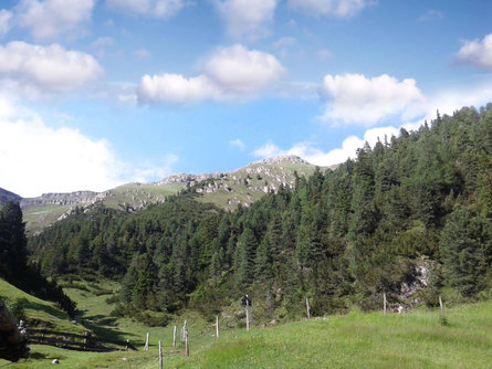 Malga Seggiola Völs am Schlern/Fiè allo Sciliar 7 suedtirol.info