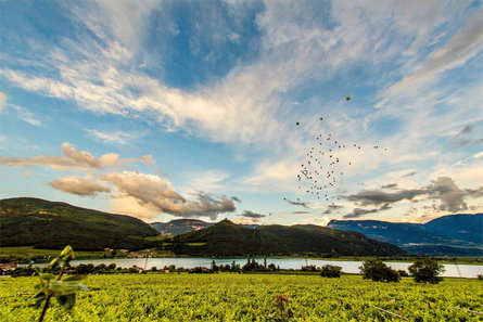 Seehofkeller Caldaro sulla Strada del Vino 11 suedtirol.info