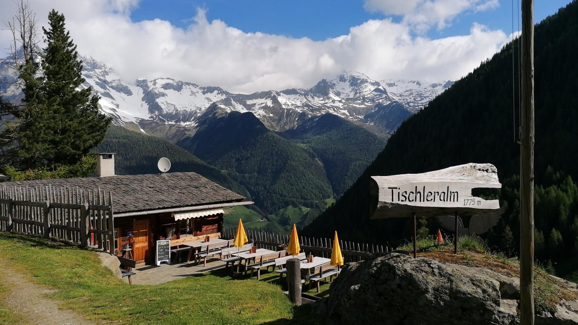 Tischleralm Ahrntal 1 suedtirol.info