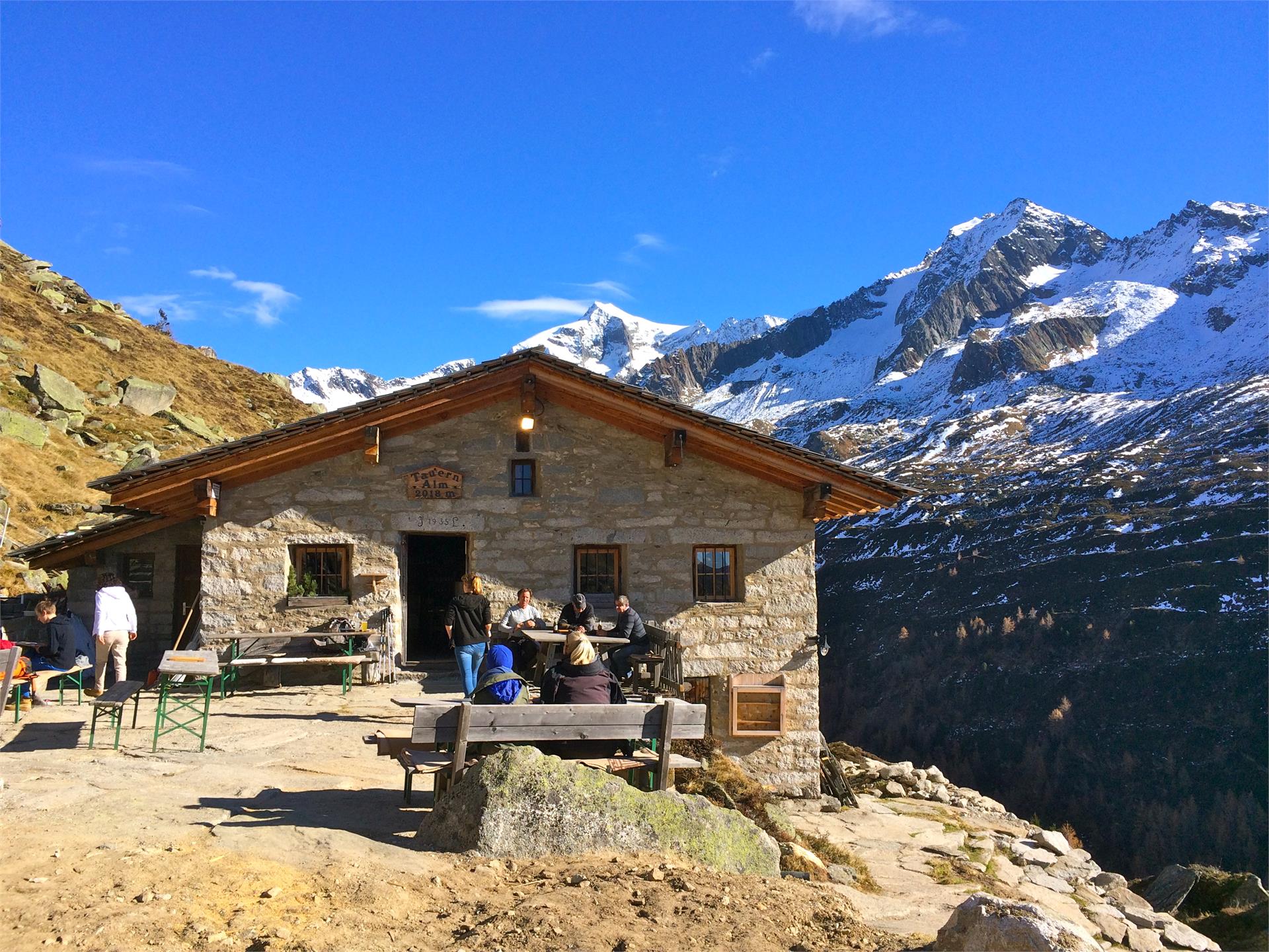 Tauernalm hut Prettau/Predoi 4 suedtirol.info