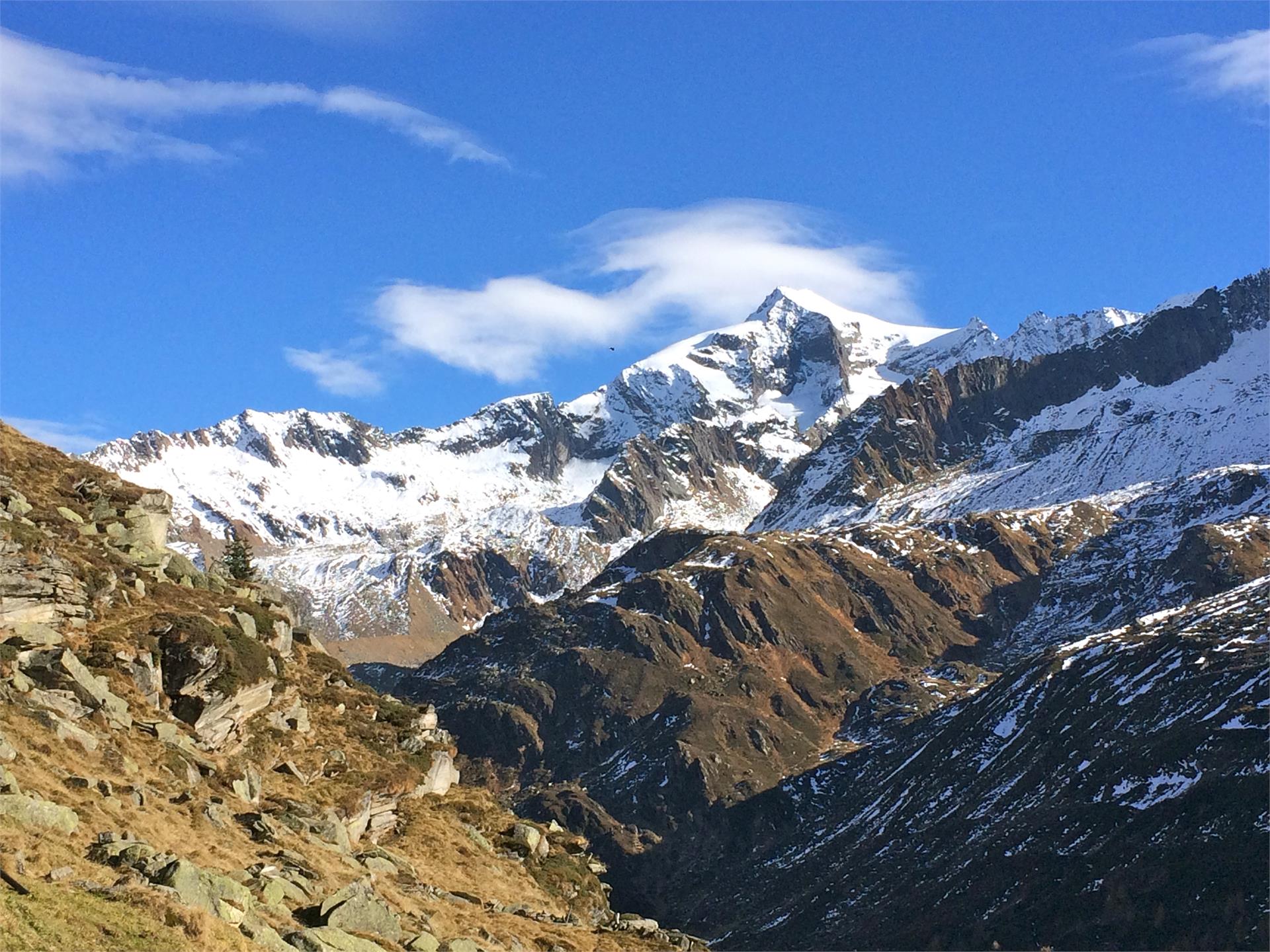 Tauernalm hut Prettau/Predoi 3 suedtirol.info