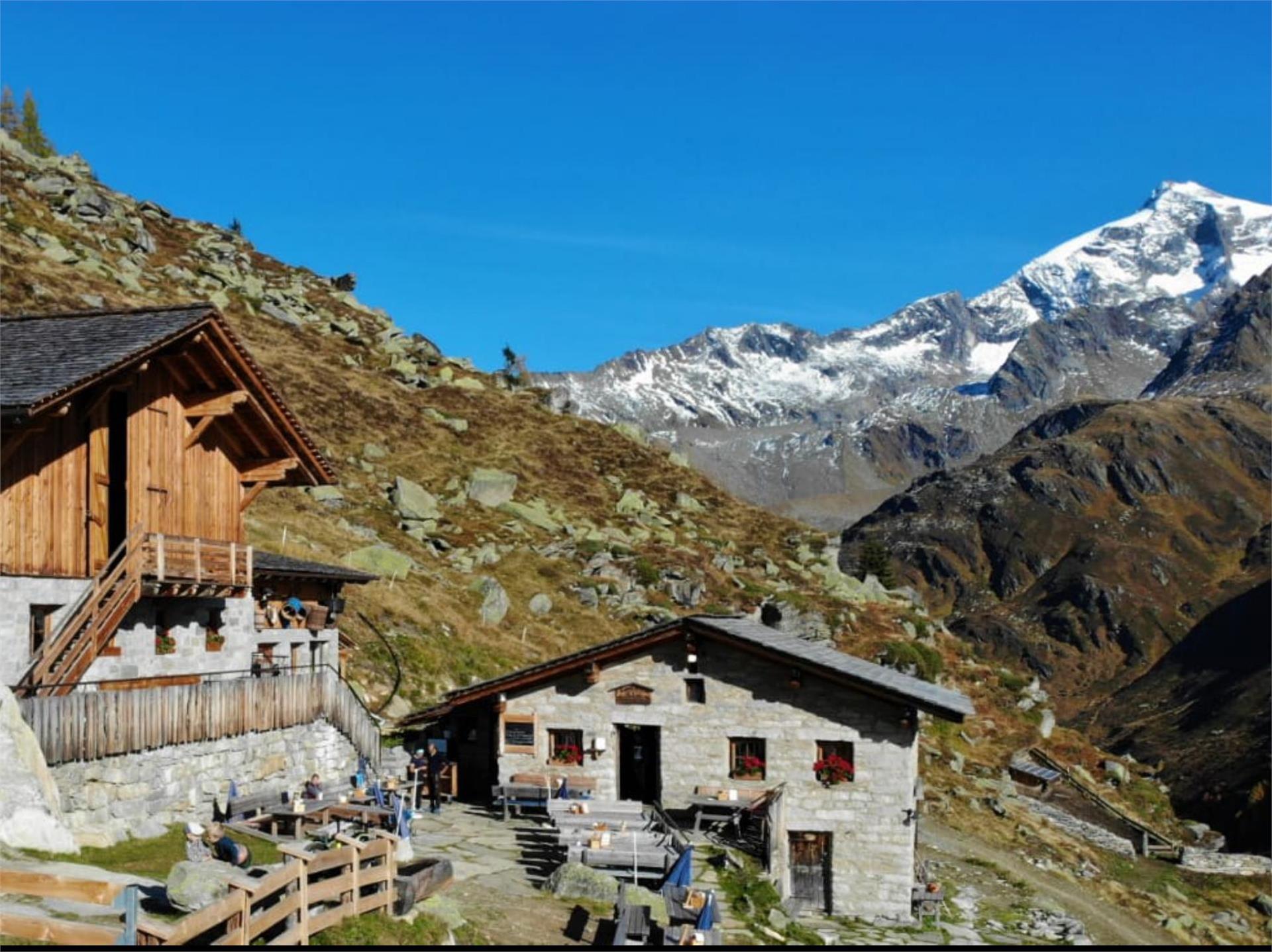 Tauernalm hut Prettau/Predoi 1 suedtirol.info