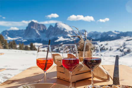 Tschötsch Alm Kastelruth 14 suedtirol.info