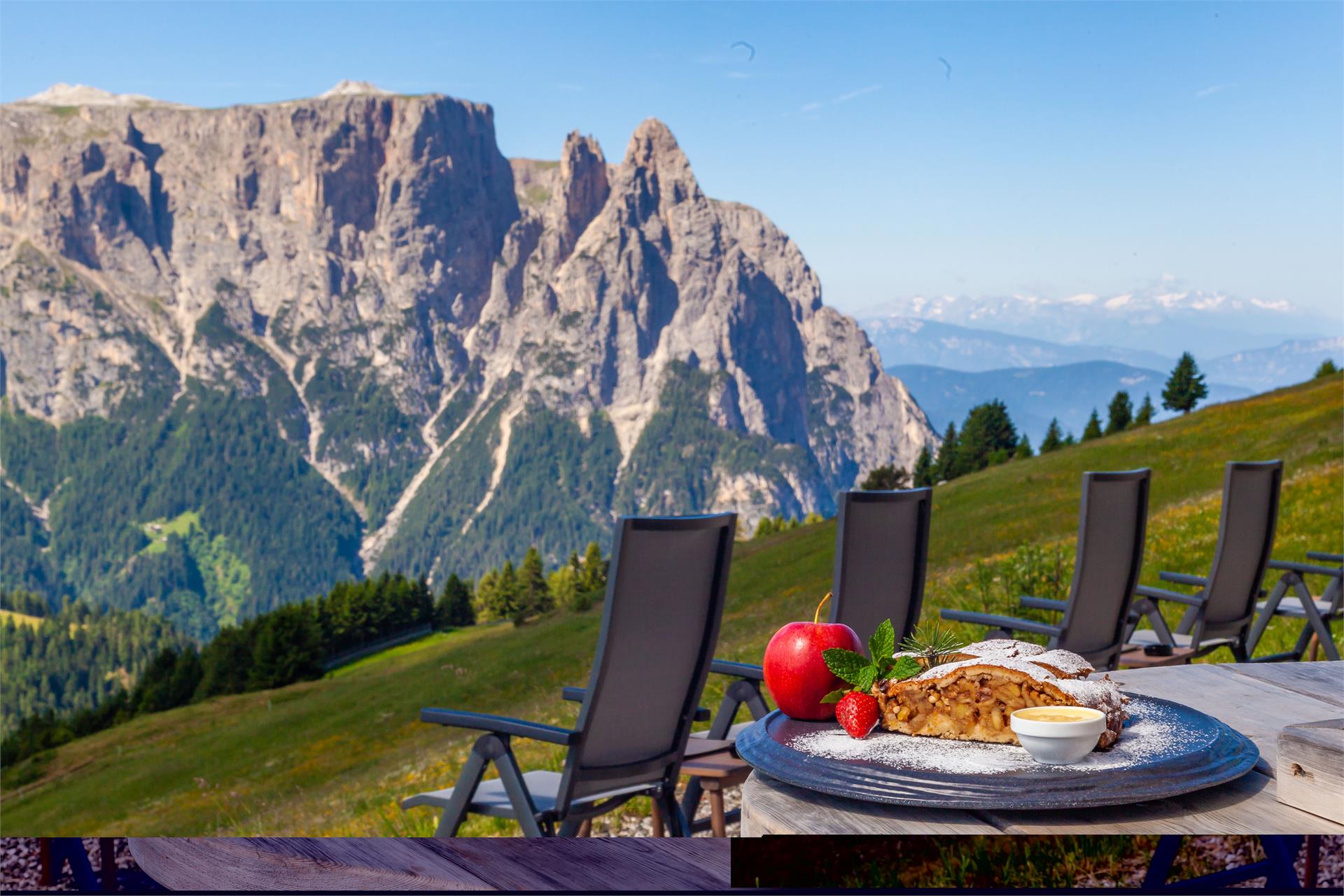 Tschötsch Alm Kastelruth/Castelrotto 10 suedtirol.info