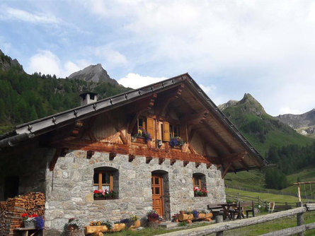 Untere Gostalm Moos in Passeier 1 suedtirol.info