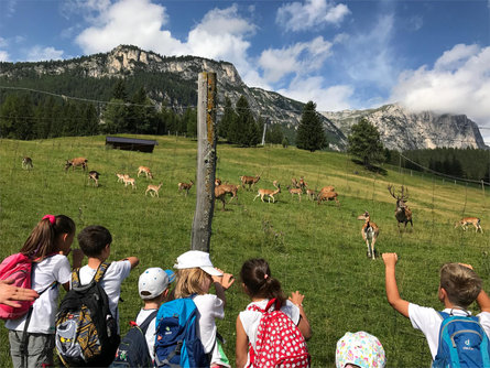 Ütia Paraciora Badia 4 suedtirol.info