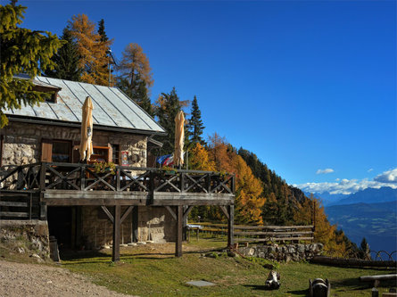 Rifugio Oltradige Tramin an der Weinstraße/Termeno sulla Strada del Vino 1 suedtirol.info