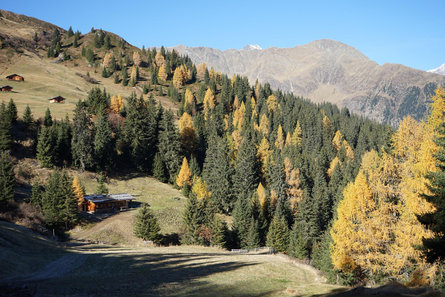 Untere Gewingesalm Ratschings/Racines 4 suedtirol.info