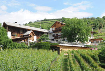 Strasserhof Winery - Hannes Baumgartner Natz-Schabs/Naz-Sciaves 1 suedtirol.info