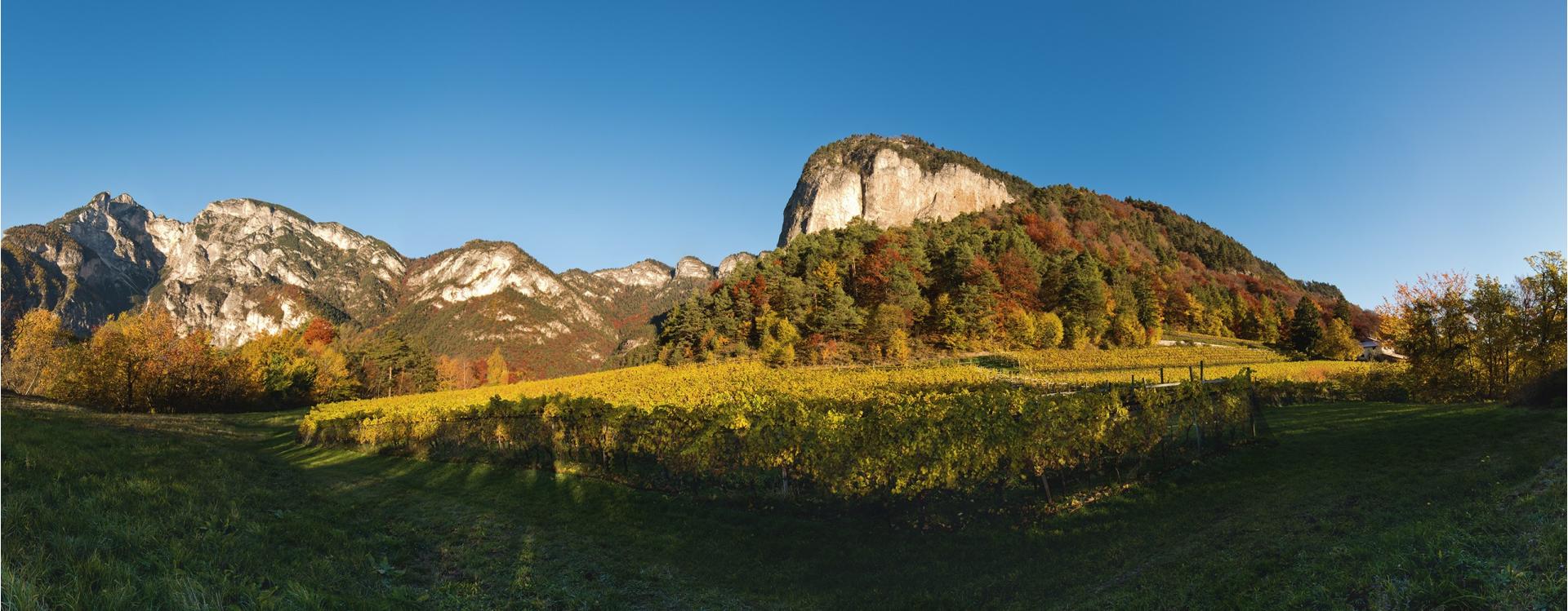 Tenuta Tiefenbrunner |Schlosskellerei Turmhof Magrè sulla Strada del Vino 1 suedtirol.info