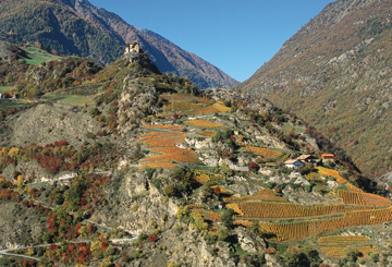 Weingut und Hofbrennerei Castel Juval Unterortl Naturns 1 suedtirol.info